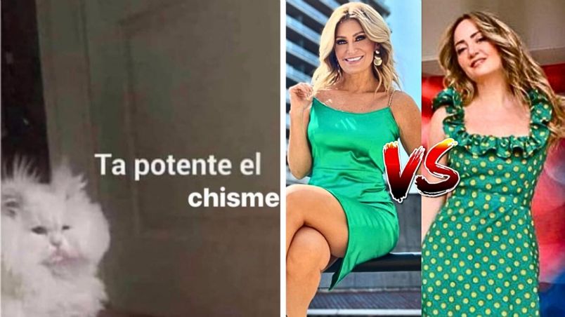 Andrea Legarreta VS Anette Cuburu: Los mejores memes del pleito entre las famosas
