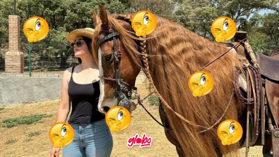 La hija de Saúl 'Canelo' Álvarez esta siendo acusa de maltrato animal.