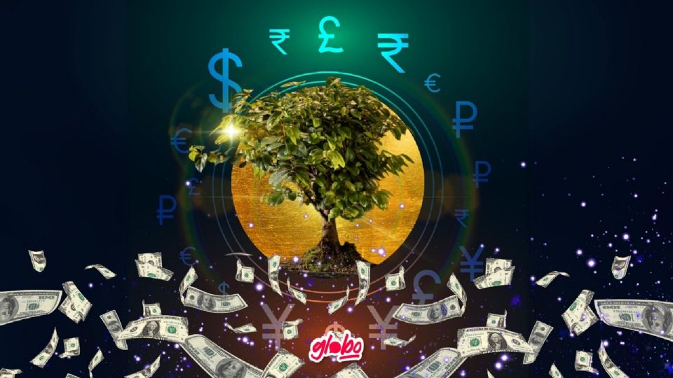 El Dólar Negro es una planta que activará la abundancia en tu hogar de acuerdo al Feng Shui.