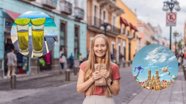 Ruta del Tequila: Mejores días para ir, duración de recorridos y precios