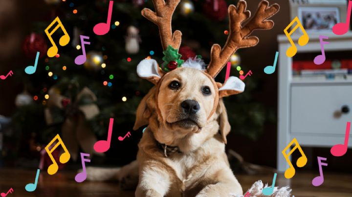 Las 5 canciones navideñas que no pueden faltar en tu playlist para Navidad y Año Nuevo