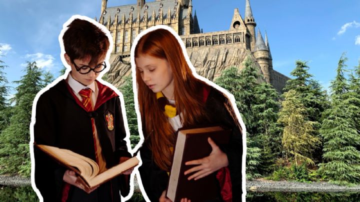 Conoce el bosque de Guanajuato, un paraíso natural al estilo de Harry Potter