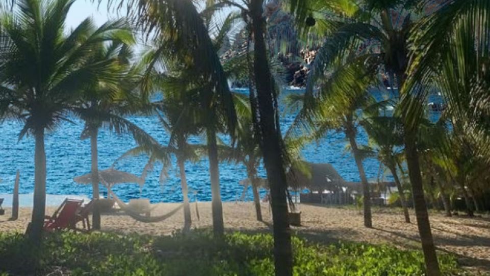 Disfruta de la gastronomía local con mariscos frescos y sabores únicos en Zipolite, la 'Bali mexicana'.