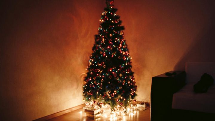 El lugar correcto para colocar tu árbol de Navidad de acuerdo con lo que quieras atraer