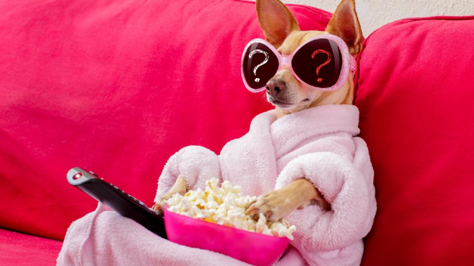 Estos códigos secretos te ayudarán a encontrar las mejores películas en Netflix.