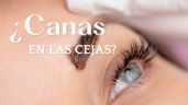 Foto ilustrativa de la nota titulada ¿Cómo ocultar las canas de las cejas? Sigue estos sencillos trucos