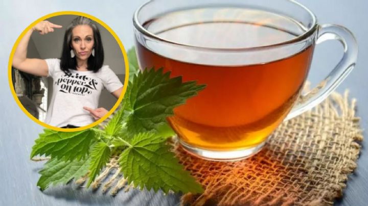 ¿Cómo teñir las canas con té? Así puedes usar las bolsitas para ocultarlas de forma natural
