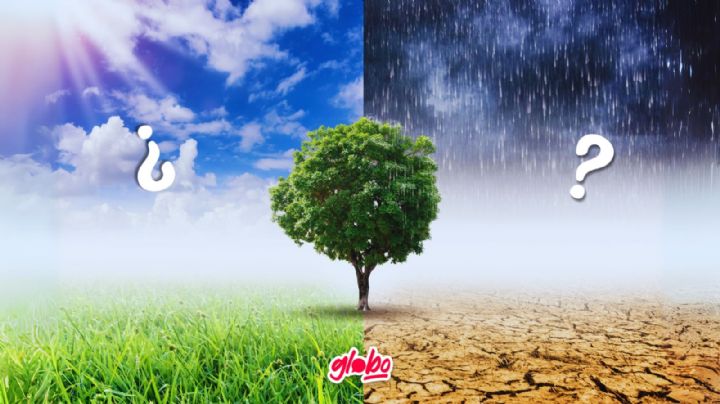 ¿Cómo estará el clima HOY?: Pronóstico para la CDMX este jueves 30 de mayo