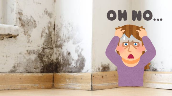 El trucazo de arquitectos para quitar las manchas de humedad de las paredes