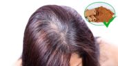 Foto ilustrativa de la nota titulada: Así puedes preparar tinte casero de canela para oscurecer las canas