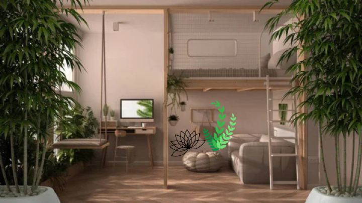 Conoce los increíbles beneficios de ubicar una ruda macho en el ingreso de tu hogar