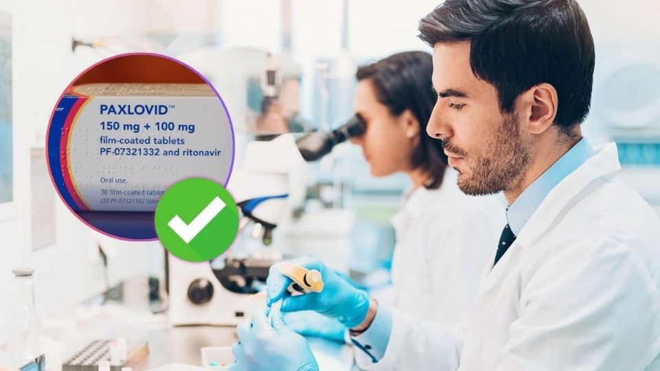 ¿Qué es el Paxlovid y para qué sirve el medicamento que aprobó Cofepris?