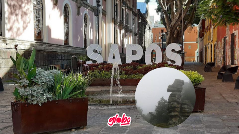 Con estas actividades el dinero no será problema y pasaras un día o fin de semana lleno de emociones en una de las ciudades más bonitas de México.