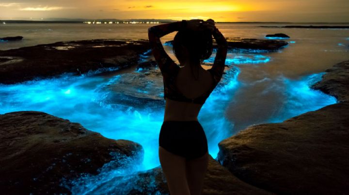 Las lagunas más bellas e ideales de Oaxaca para ver el fenómeno de la bioluminiscencia