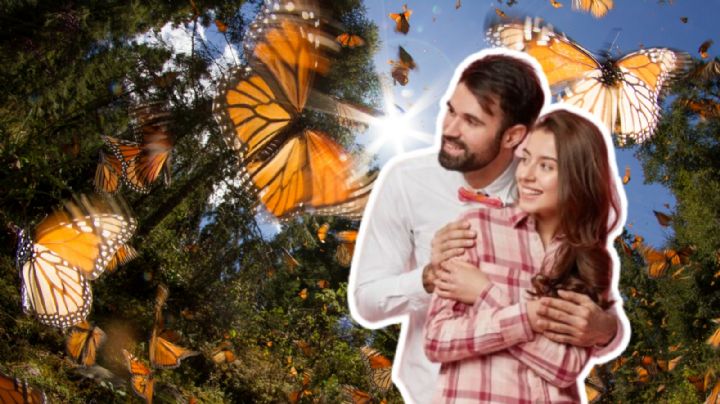 ¿Cuál es el mejor lugar de México para visitar santuarios de la Mariposa Monarca?
