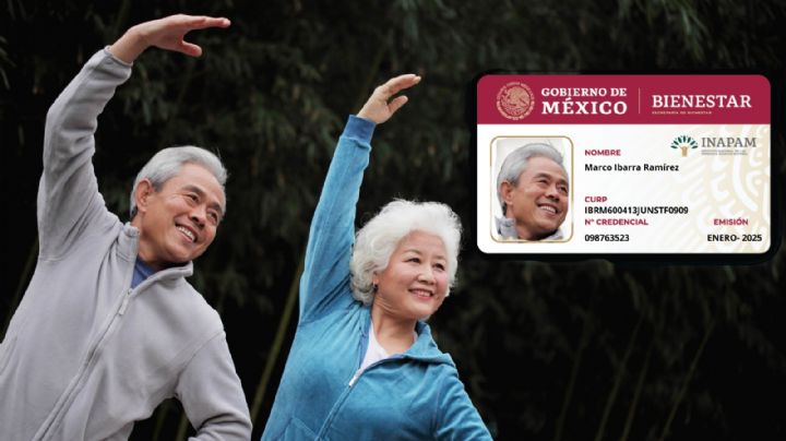 INAPAM: ¿Cómo aprovechar descuentos con tu tarjeta en febrero 2025?