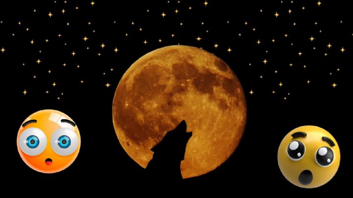 Luna Lobo, uno de los primeros fenómenos astronómicos del 2025 ¿Qué significa, cuándo y qué es?