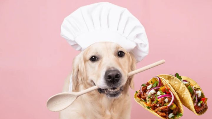 ¿Cómo saber si mis tacos son de carne de perro?, así puedes diferenciarla según expertos