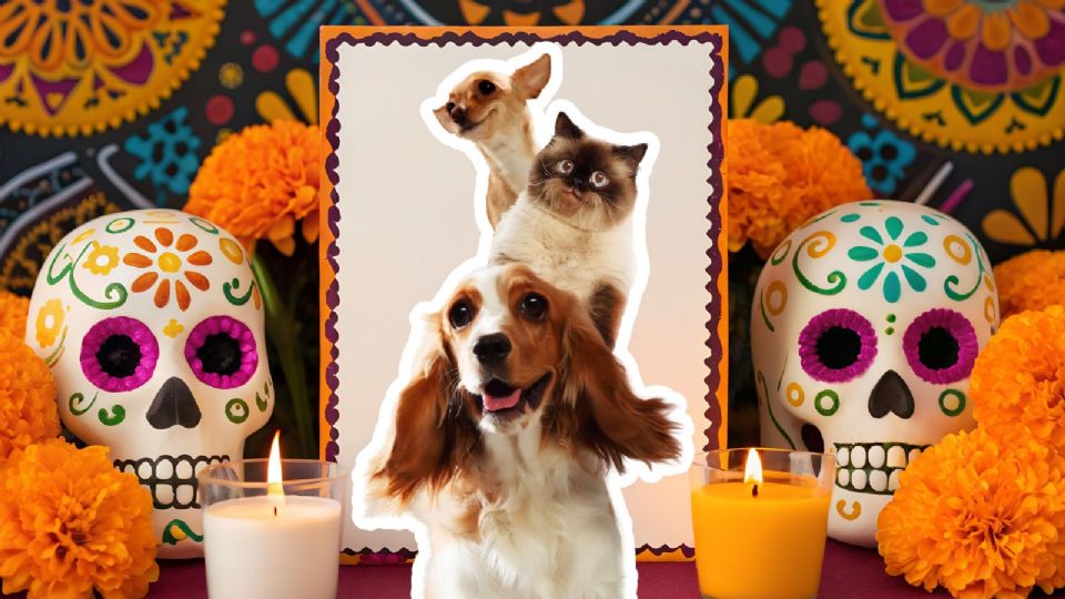La ofrenda para mascotas en el Día de Muertos es una tradición para honrar la memoria y el vínculo especial con los animales.