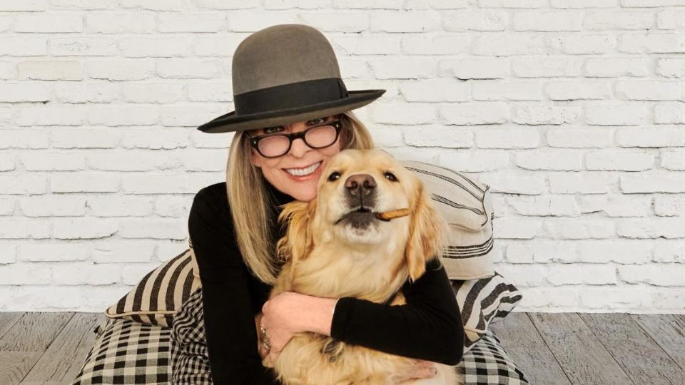 Reggie, el Golden Retriever de la actriz, se convirtió en un símbolo de lealtad y amor.