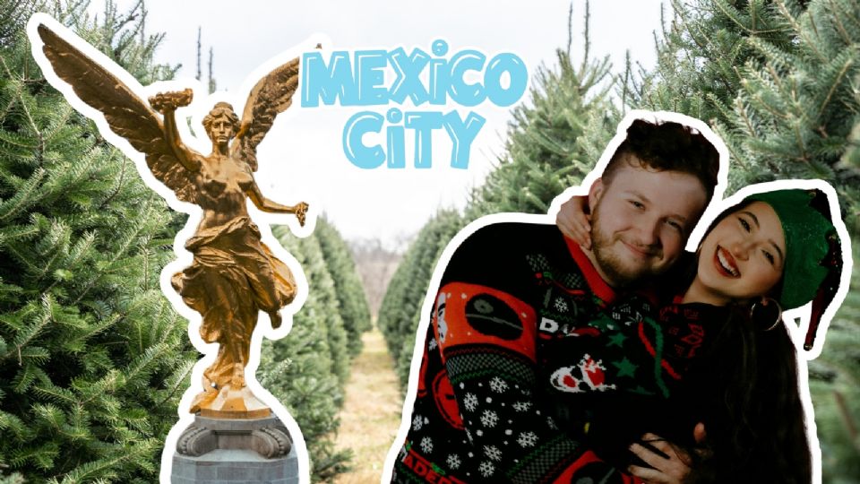 ¿Dónde comprar el Árbol de Navidad en CDMX?