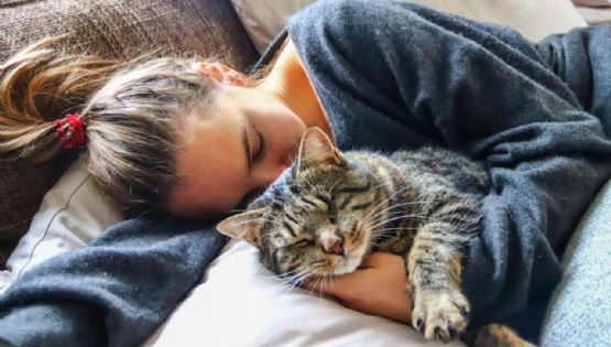 ¿Por qué tu gato se duerme encima de ti? Estas son las razones más comunes