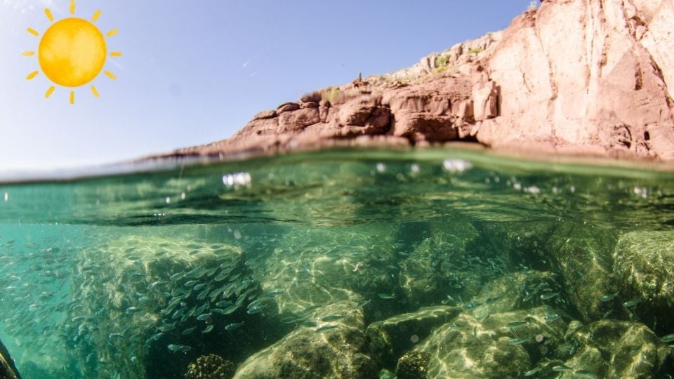 El acuario natural del mundo ubicado en Sinaloa con una espectacular bahía turística