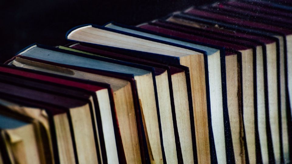 Los clásicos de la literatura que llegarán al streaming este 2024