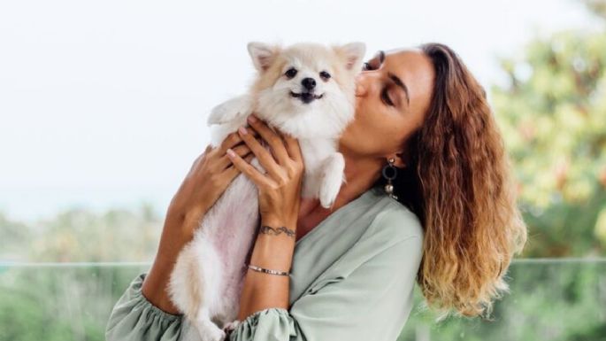¿Cómo saber que tu perro te ama? Revisa estos comportamientos, según etólogos