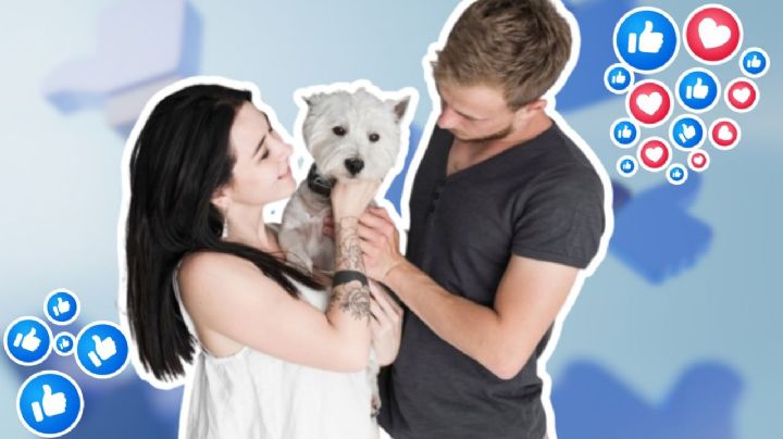 10 comportamientos por los que regañamos a los perros, pero con los que muestran su confianza