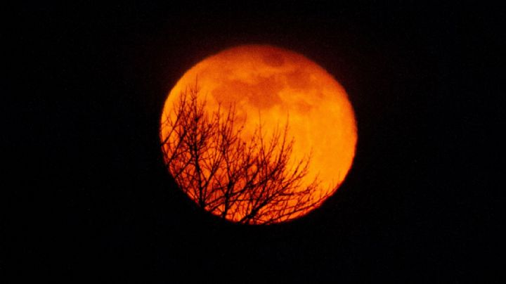 ‘Ojitos de Huevo’: Presumió que pudo ver el eclipse solar sin protección ¿Milagro?