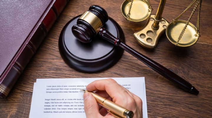 Livia Brito pierde demanda y pagará multa por golpear a fotógrafo