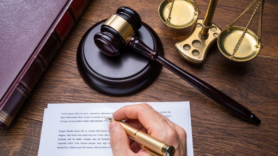 Livia Brito pierde demanda y pagará multa por golpear a fotógrafo