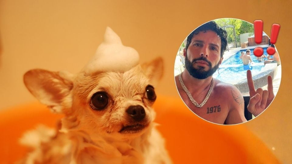 ¡Rechazan a Poncho de Nigris! ¿Por qué ofreció 10 millones a una desconocida para comprar un perro?