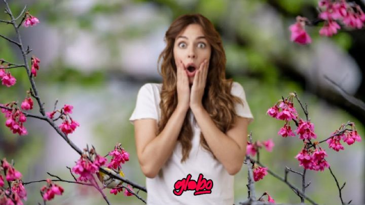 3 datos del babchi, la planta cargada en colágeno que elimina los dolores de rodilla