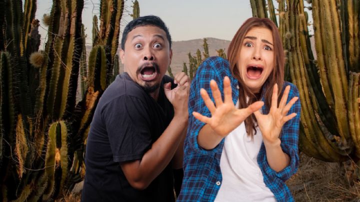 Los 5 lugares más peligrosos de Jalisco, según la inteligencia artificial