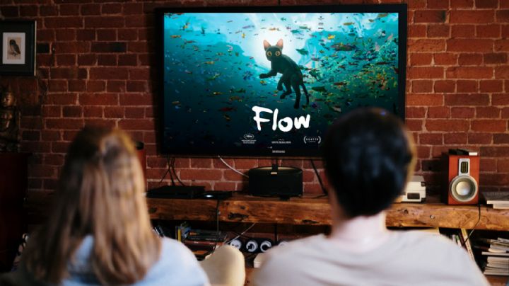 Flow, la película nominada a los Oscar ya tiene fecha de estreno en plataformas digitales