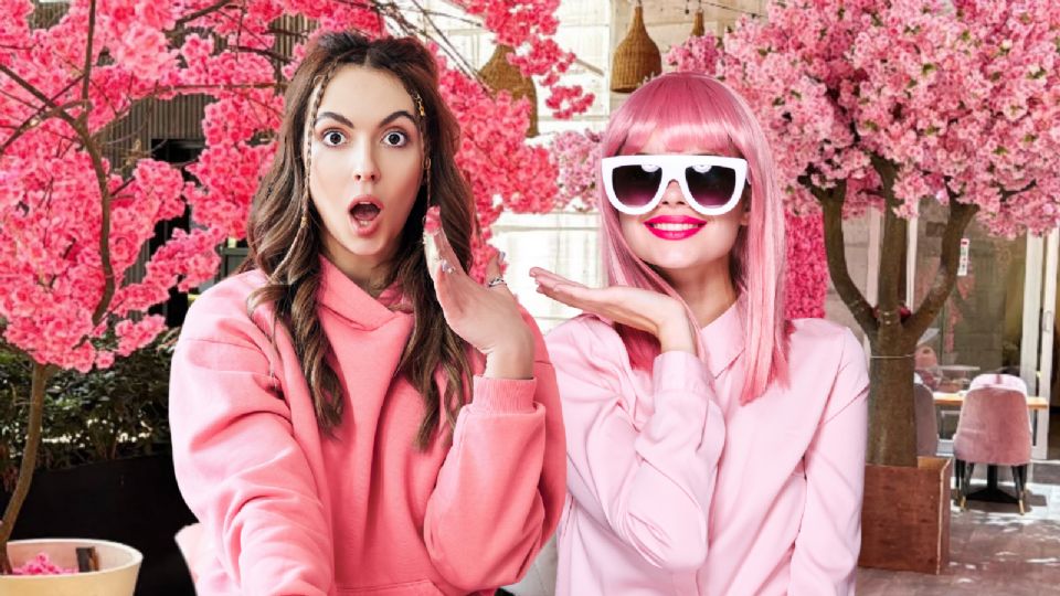 Los mejores restaurantes rosas en Ciudad de México.