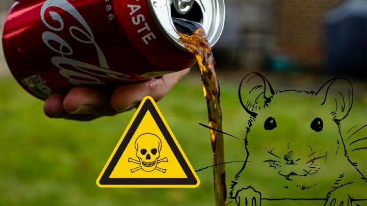 ¿Cómo eliminar ratones con Coca Cola?