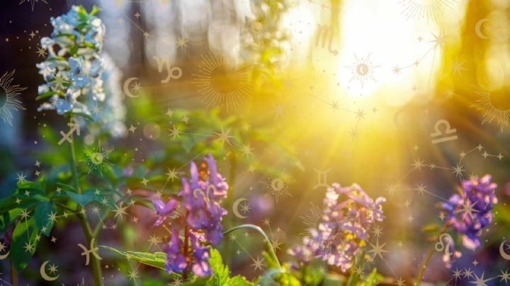 Así te afectará el equinoccio de primavera, según tu signo del zodiaco