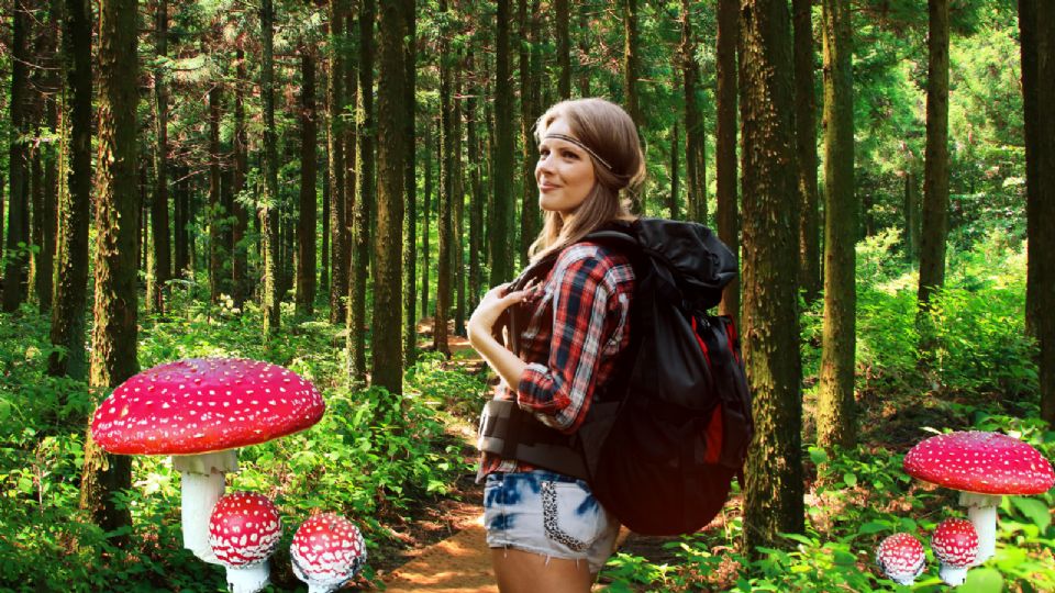 San José del Pacífico es conocido como la cuna de hongos, y aquí podrás vivir una experiencia ideal para todas las edades mientras se rodean de naturaleza.