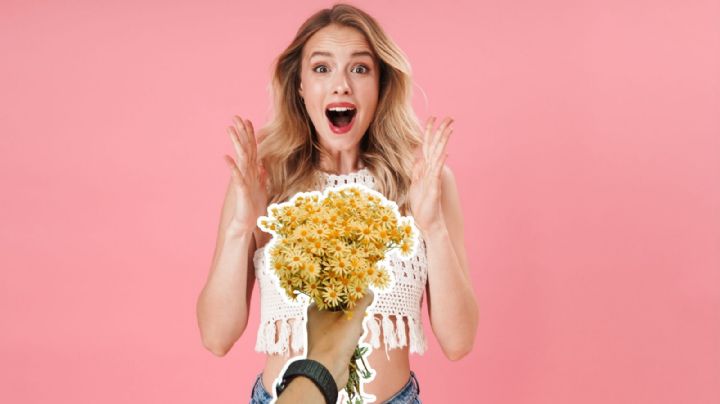 ¿Por qué se dan flores amarillas  el 21 de marzo?