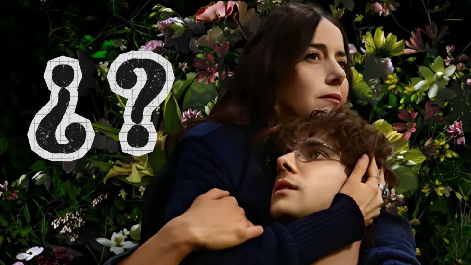 El Jardinero, la popular serie de streaming 
