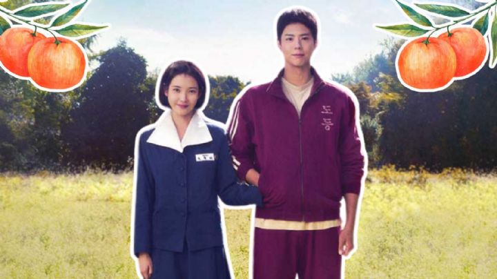 Si la vida te da mandarinas: Esta es la historia que inspiró el exitoso dorama coreano
