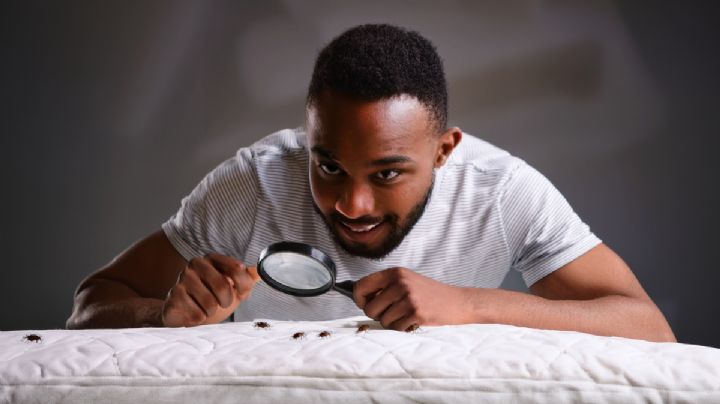 ¿Cómo encontrar un nido de chinches en mi colchón?