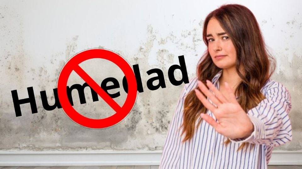 Descubre métodos efectivos y sencillos para mantener tus paredes blancas libres de humedad.