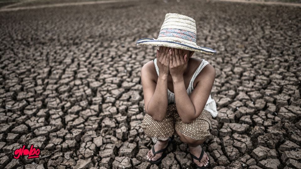 En un lapso menor a 30 años, la escasez de agua afectará de manera directa a un gran número de estados de México.