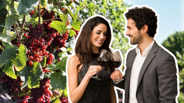 El Pueblo Mágico donde puedes disfrutar del mejor vino de México