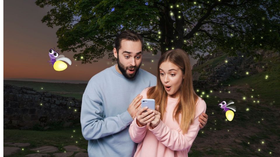 TOP 4: Mejores lugares de Morelos para ver un espectáculo de luciérnagas.