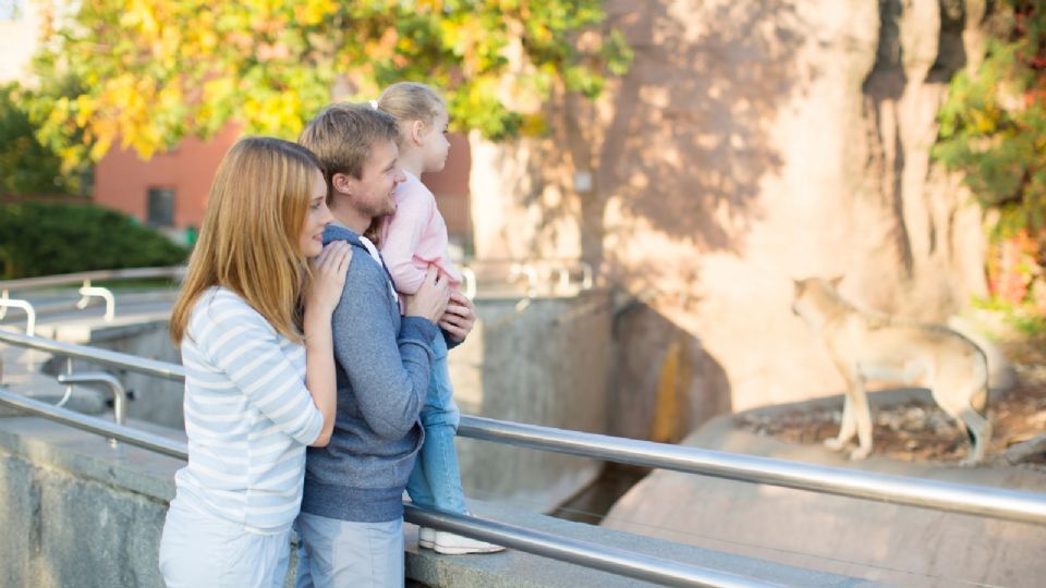 Zoológico de la CDMX que debes visitar sí o sí.